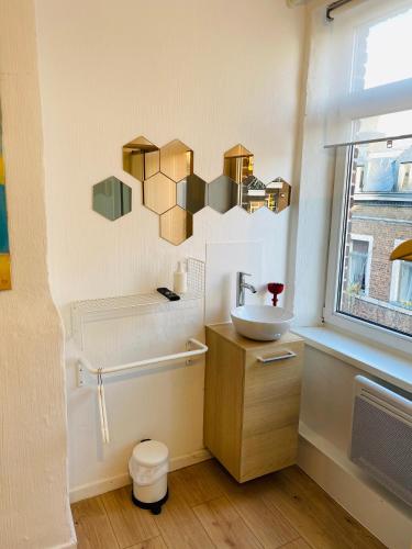 a bathroom with a sink and a window at Roture 88 in Liège