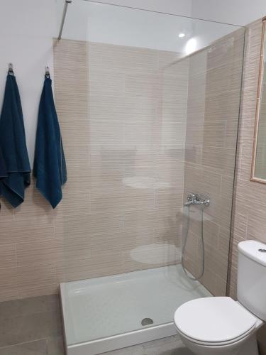 La salle de bains est pourvue d'une douche, de toilettes et d'un lavabo. dans l'établissement Apartamento privado en una zona tranquila y próxima al aeropuerto TF norte y a la ciudad de San Cristóbal de la Laguna ., à La Laguna