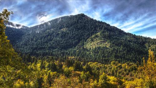 a mountain covered in trees on top of a hill at Μαγεμένο Βουνό in Karpenision