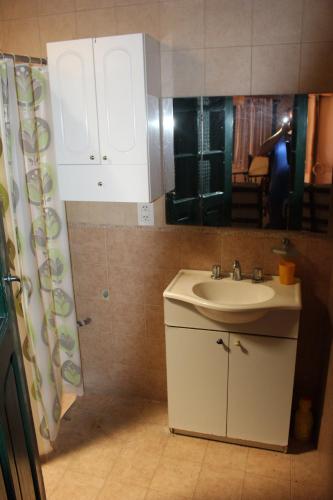 a bathroom with a sink and a mirror at Cabaña en Olivar Centenario Agroecológico Tutuna in Pocito