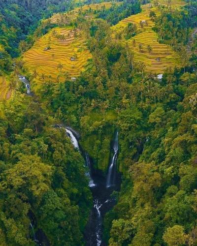 an aerial view of a waterfall in a forest at Sugi Gede Homestay in Singaraja
