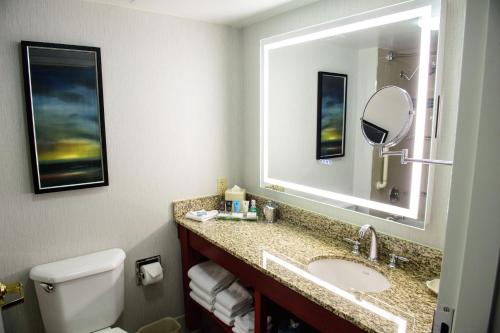 a bathroom with a sink and a mirror at Crowne Plaza Dulles Airport by IHG in Herndon
