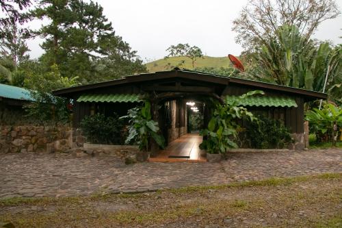 Κήπος έξω από το Malekus Mountain Lodge