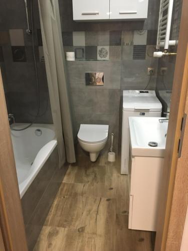 Baño pequeño con aseo y lavamanos en apartament, en Rzeszów