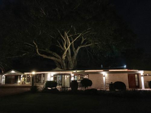 a house with a tree on top of it at night at Damas Guest Farm in Worcester