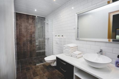 uma casa de banho com um lavatório, um WC e um chuveiro em Kuninga Old Town Resident em Pärnu