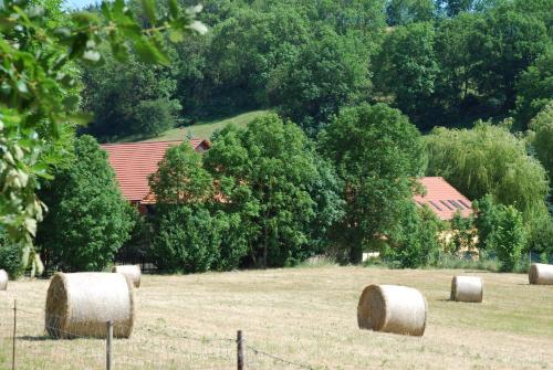 a group of hay bales in a field at Landkulturhof Glücksbringer in Rudolstadt