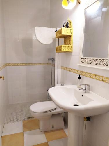 a bathroom with a sink and a toilet and a mirror at Apartamento Córdoba centro in Córdoba