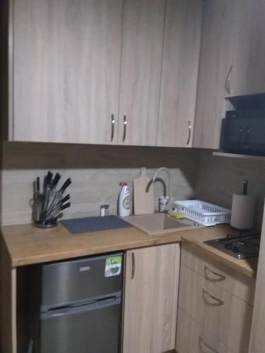 a kitchen with wooden cabinets and a sink and a dishwasher at 2 osobowe kawalerki w domkach FreezerHause Kozery- NoclegiGrodziskPL 792-535-535 in Grodzisk Mazowiecki