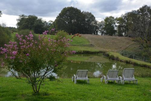 three chairs sitting in the grass next to a pond at Villa Gites Chambre d hôtes avec piscine Dordogne 2-4-6-8-10 personnes in Bussière-Badil