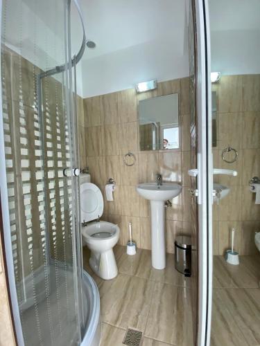 a bathroom with a toilet and a sink and a shower at Casa Sonya in Aninoasa