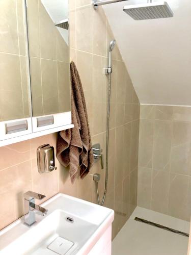 a bathroom with a shower and a sink at Apartment Duplex in Pančevo