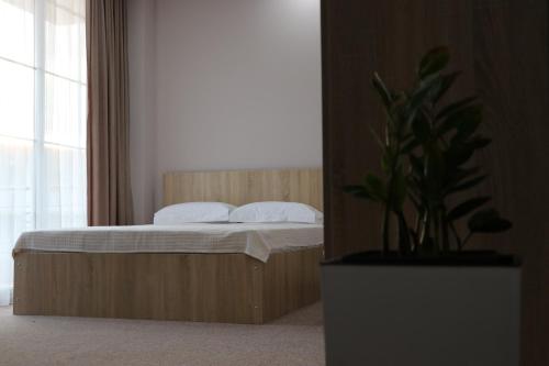 a bedroom with a bed and a potted plant at Riva in K'obulet'i