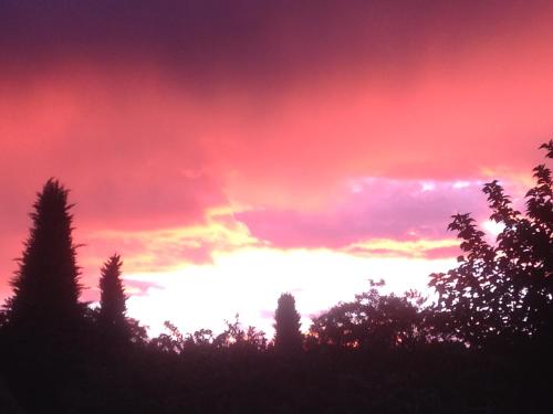 um céu vermelho com árvores em primeiro plano em Domaine De La Bégude em Fayence