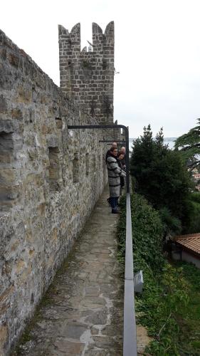 Φωτογραφία από το άλμπουμ του Apartments Lavanda Fiesa σε Piran