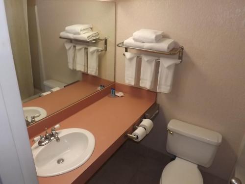 a bathroom with a sink and a toilet and a mirror at KCI Lodge in Kansas City