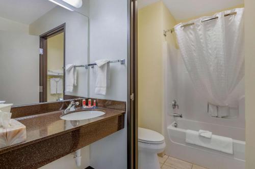 a bathroom with a sink and a toilet and a mirror at Econo Lodge Inn & Suites Fairgrounds in Des Moines