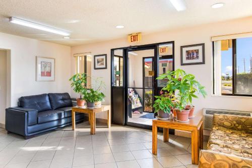 a living room with a blue couch and plants at Econo Lodge in Norwalk