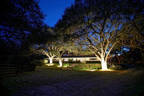 a group of trees in a yard at night at 3 Mi to Golf and Wineries Arroyo Grande Home! in Arroyo Grande