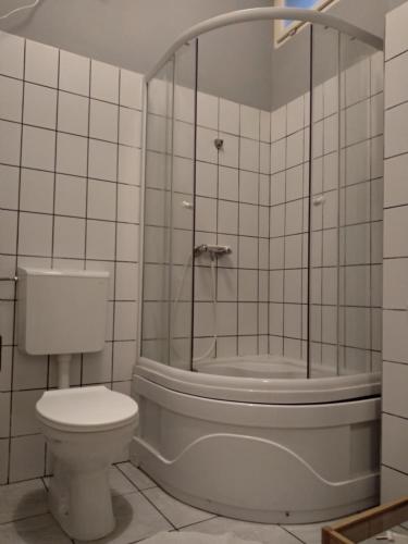 a bathroom with a shower and a toilet and a tub at HoBar Hostel in Budapest