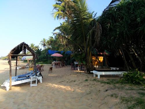 a beach with tables and chairs and a dog on the beach at Hikkaduwa backyard beach homestay in Galle