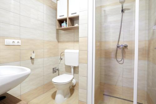 a bathroom with a toilet and a sink and a shower at Panorama Apartmanok in Villány