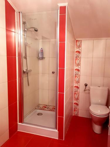 a bathroom with a shower and a toilet at Apartament Fluturaș de Stâncă Comarnic in Comarnic