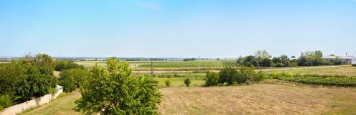 an aerial view of a field with trees at Panorama Apartmanok in Villány