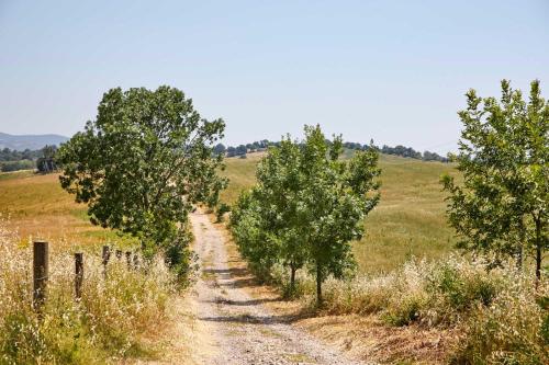 a dirt road with trees in a field at Agriturismo MonteCrespini in Saturnia