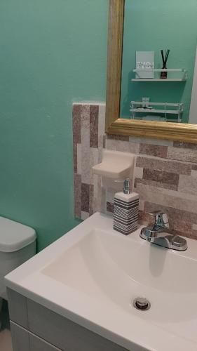 a bathroom with a sink and a mirror and a toilet at Eastwood Escape in Nassau