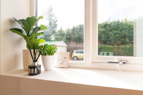 a window sill with a potted plant and a card at Beautiful 6 Bedroom Holiday Home, Manchester in Wythenshawe