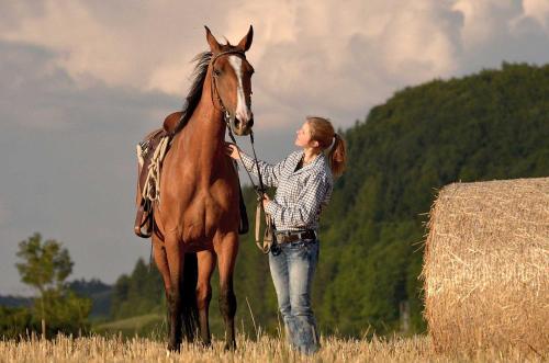 a woman standing next to a horse in a field at Penzion Tuček Adršpach in Adršpach