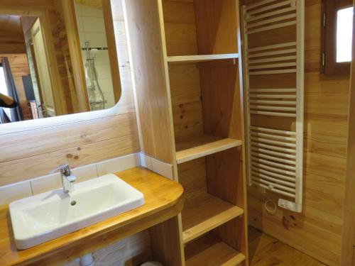 LES MATHIEUX la cabane du Parc في Bongheat: حمام مع حوض ومرآة