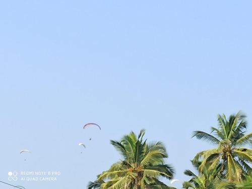 two kites flying in the sky above palm trees at Om Ganesh Naik Guest House in Arambol