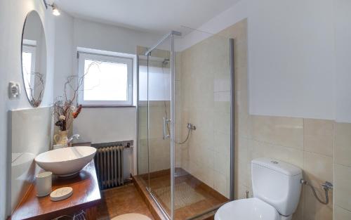 uma casa de banho com um chuveiro, um WC e um lavatório. em Ruda Buda em Karpacz