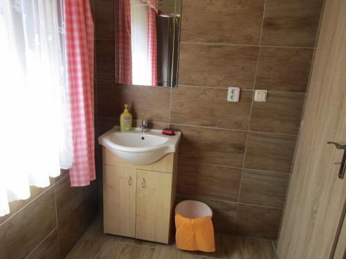 La petite salle de bains est pourvue d'un lavabo et d'un miroir. dans l'établissement Rekreační dům v Brdech Pod Svatou Annou, à Ohrazenice