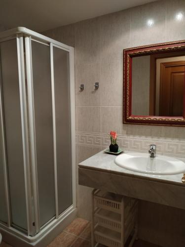 W łazience znajduje się prysznic, umywalka i lustro. w obiekcie Coma de Alba Benasque w mieście Benasque