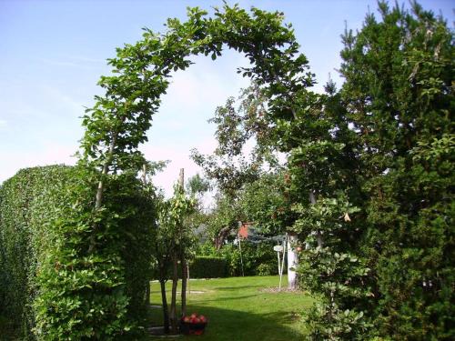 an archway in a garden with trees and grass at Ferienhaus-Weitblick in Wohlau