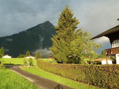 Paesaggio naturale nelle vicinanze dell'affittacamere