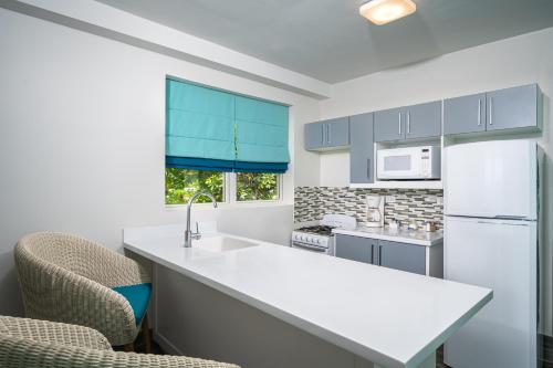 a kitchen with a white counter and blue cabinets at South Gap Hotel in Christ Church