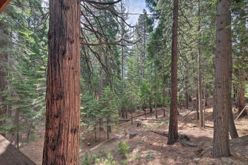 a forest with tall trees and dirt ground at Walk to Big Trees State Park Cabin with Deck! in Dorrington