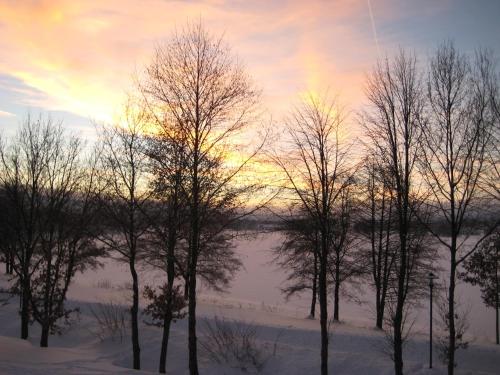 a group of trees with the sunset in the background at Zigeunermühle in Weißenstadt