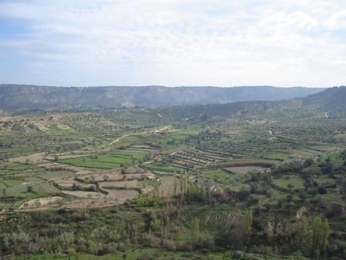 an aerial view of a valley with fields and trees at Casa Rural Albayacín in Letur