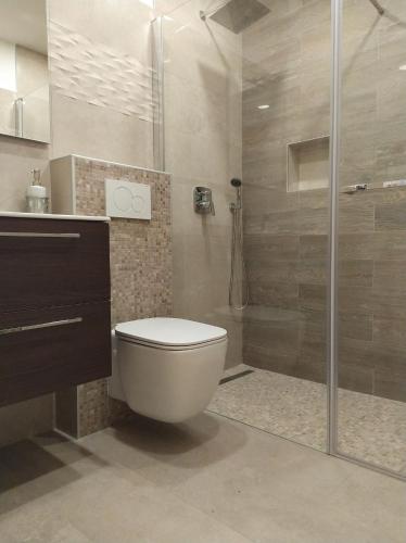 a bathroom with a toilet and a shower at Apartment Quiet Getaway in Koromačno