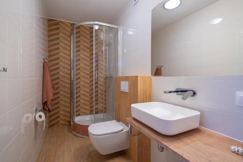 a bathroom with a toilet and a sink and a shower at Pensjonat Carmen in Szklarska Poręba