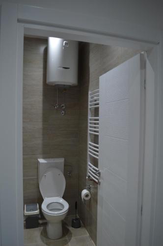 a bathroom with a toilet and a toilet paper dispenser at MAGIC M Apartment in Mali Mokri Lug