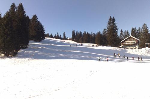 a group of people skiing down a snow covered slope at Bio- und Wellnesshotel Alpenblick in Höchenschwand