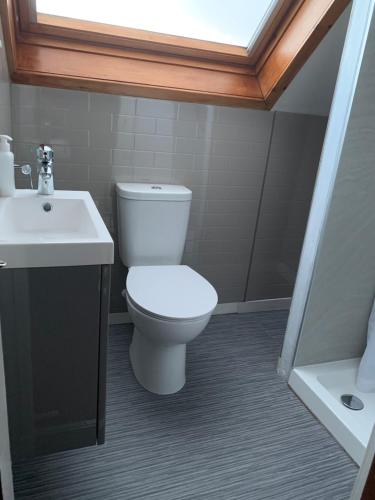 a bathroom with a toilet and a sink at 18 Cross Skigesrta Road in Swanibost