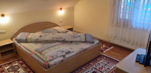 ein Schlafzimmer mit einem Bett in einem Zimmer mit einem Fenster in der Unterkunft Pensiunea Casa Șteț Toader Iulian in Săpânța