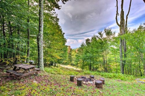 a picnic table and a fire in the woods at 3 Mi to Beech Mtn Treetop Cabin with Deck and Views in Beech Mountain